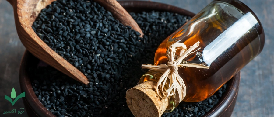 گیاه دارویی سیاهدانه