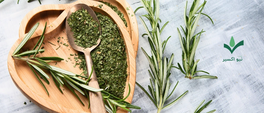خواص درمانی گیاه رزماری