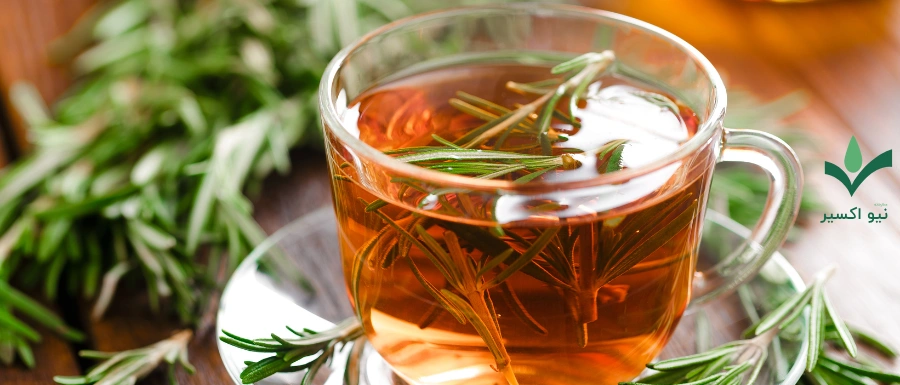 خواص درمانی گیاه رزماری