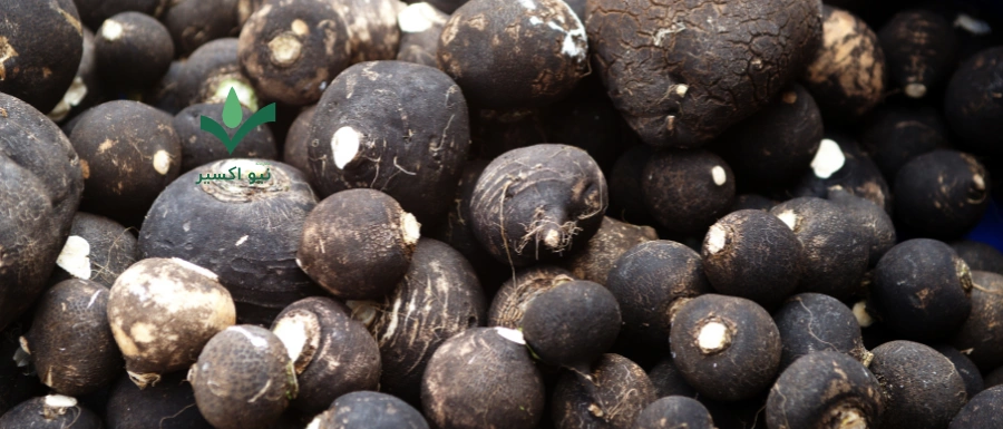 خواص ترب سیاه