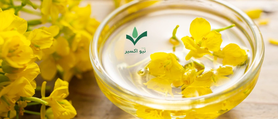 خواص روغن گیاهی کلزا