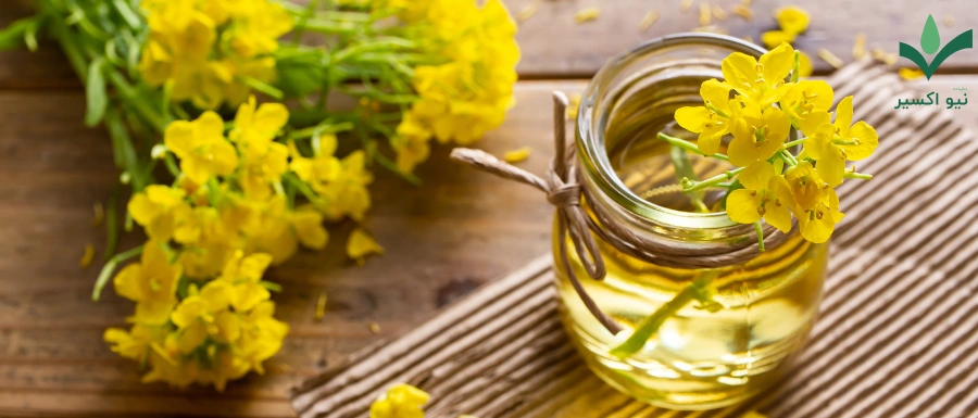 خواص روغن گیاهی کلزا