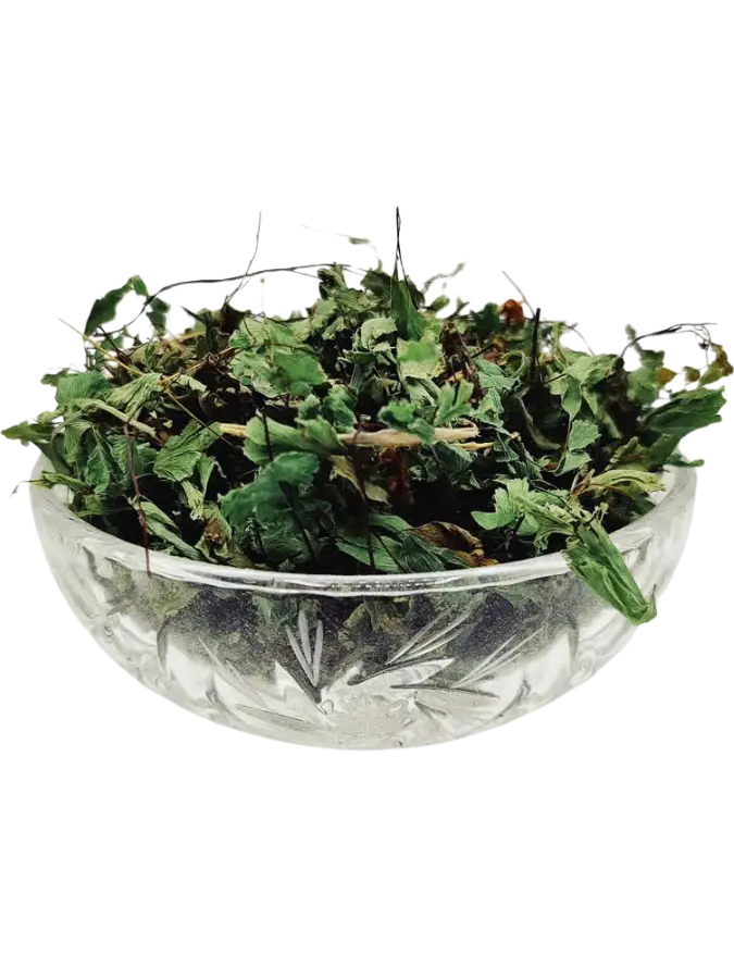 Persiavash پرسیاوش