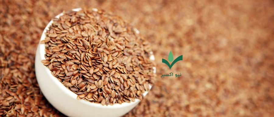 خواص تخم کتان