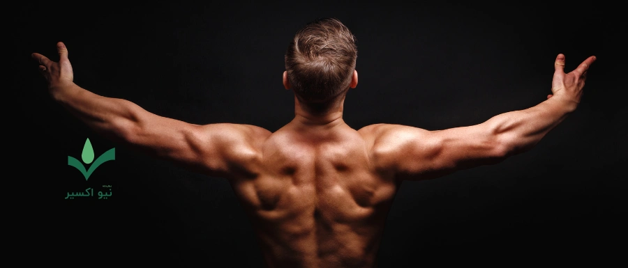 مزایای تخم کتان در بدنسازی