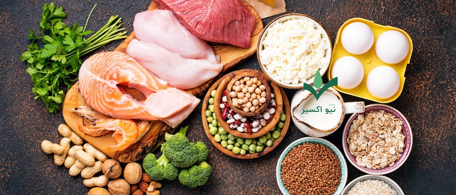 تخم کتان سرشاز از پروتئین مفید