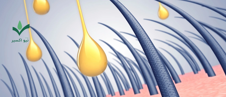 تقویت مو با ماچا