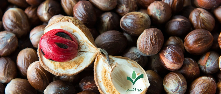 جوز هندی از ترکیبات چای ماسالا